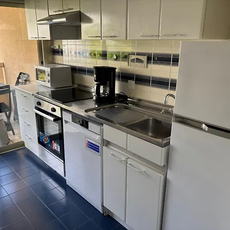 아파트 Spacieux 2p Avec Terrasse, Garage Et Wifi A - Fr-1-196-268